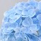 Spring Tabletop Decor – 3PCS Real Touch Blue Hydrangea Artificial Flowers, 21" Latex Faux Hydrangea Stems for Wedding Bouquets, Centerpieces & Home Vase Decor
